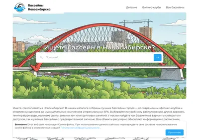 Снимок главной страницы basseyn-novosibirsk.ru