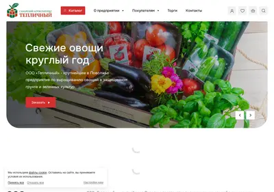 Снимок главной страницы 63teplica.ru