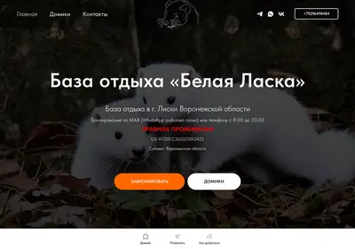 Снимок главной страницы belaya-laska.ru