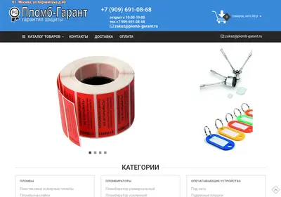 Снимок главной страницы plomb-garant.ru