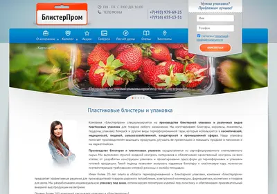 Снимок главной страницы blisterprom.ru