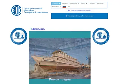Снимок главной страницы amurnelma.ru