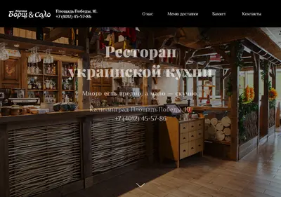 Снимок главной страницы borshsalo.ru