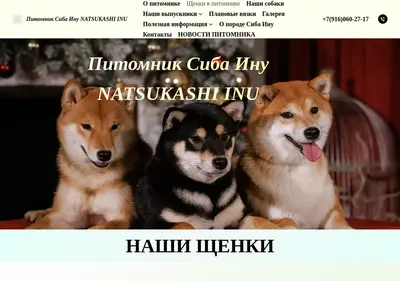 Снимок главной страницы sibainu.su