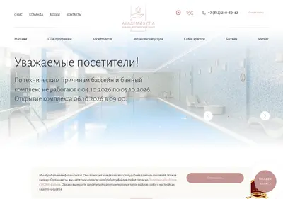 Снимок главной страницы academiaspa.ru
