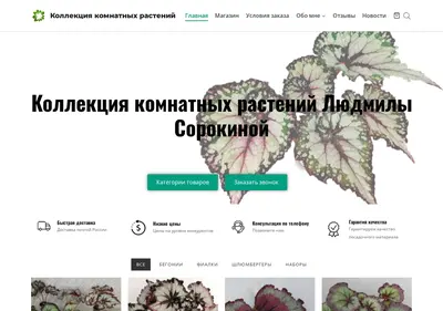 Снимок главной страницы begonia-shop.ru