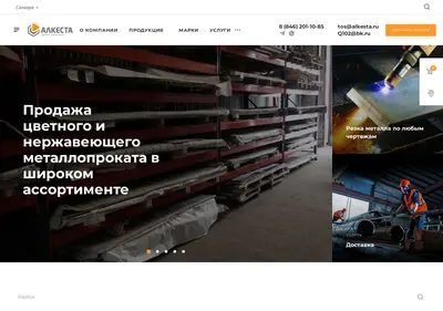 Снимок главной страницы alkesta.ru