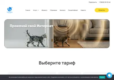 Снимок главной страницы chetelecom.ru