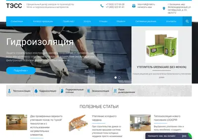 Снимок главной страницы tess.su