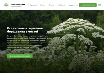 Снимок главной страницы borshevictory.ru