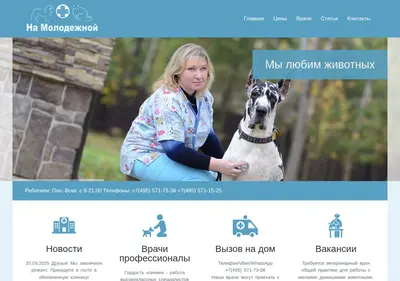 Снимок главной страницы chemvet.ru