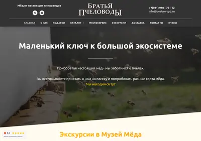 Снимок главной страницы beebro-spb.ru