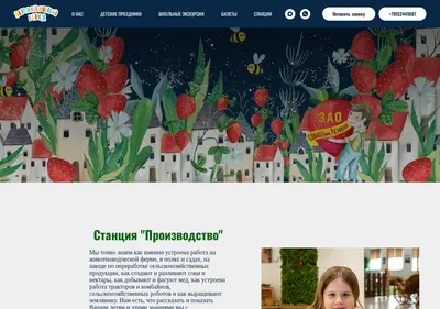Снимок главной страницы berry-town.ru