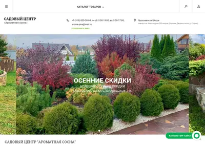 Снимок главной страницы aromapine.ru