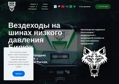Снимок главной страницы biriuk.ru