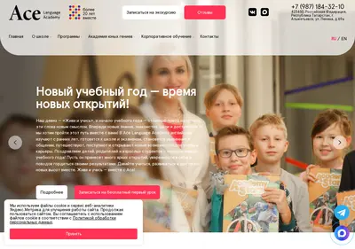 Снимок главной страницы aceacademy.ru