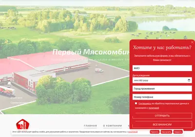 Снимок главной страницы 1mk-nn.ru