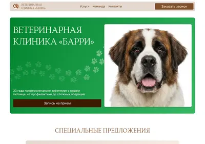 Снимок главной страницы barryvet.ru