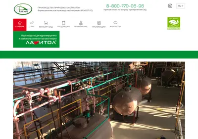 Снимок главной страницы ametis.ru
