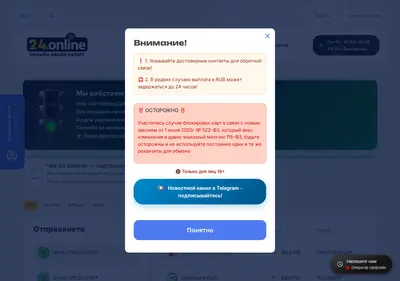 Снимок главной страницы 24online.su