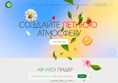 Снимок главной страницы airwick.ru