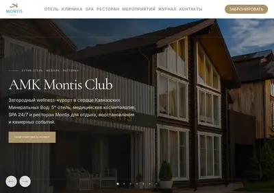 Снимок главной страницы amk-montis.ru