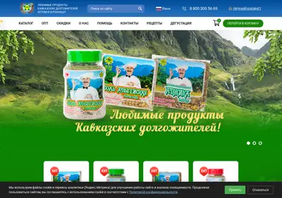 Снимок главной страницы adygsalt.ru