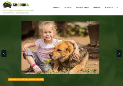 Снимок главной страницы biozzonafund.ru