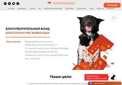 Снимок главной страницы blagozoo.ru