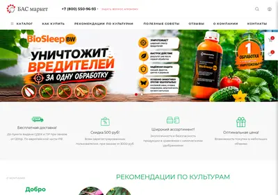 Снимок главной страницы bas-m.ru