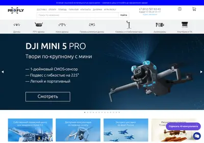 Снимок главной страницы profly.su