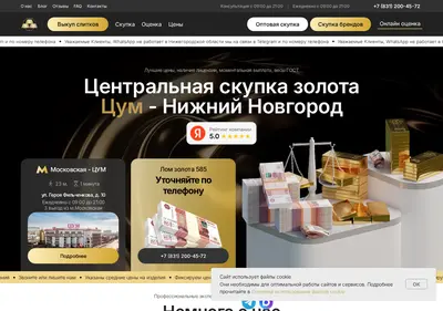 Снимок главной страницы 585nn.ru