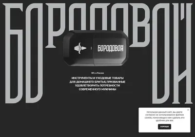 Снимок главной страницы borodovoy.ru