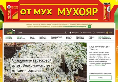 Снимок главной страницы 7dach.ru