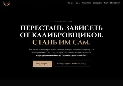 Снимок главной страницы academychiptuning.ru
