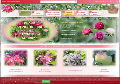Снимок главной страницы 101pion.ru