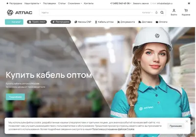 Снимок главной страницы atlastpk.ru