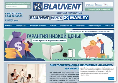 Снимок главной страницы blauvent.ru