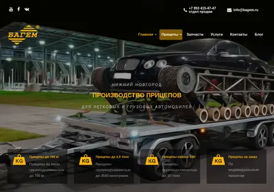 Снимок главной страницы bagem.ru