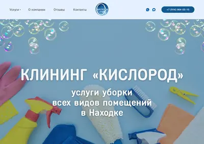 Снимок главной страницы chistoprofy.ru