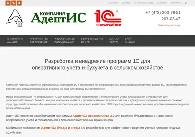 Снимок главной страницы adeptis.ru