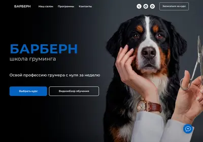 Снимок главной страницы barbern-school.ru