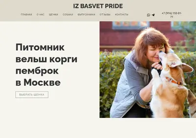 Снимок главной страницы basvetpride.ru