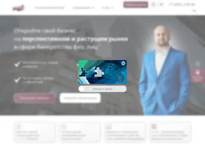 Снимок главной страницы aristokrat-franchise.ru