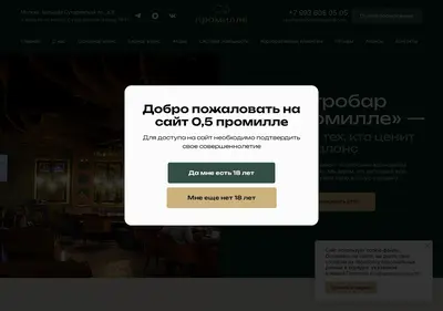 Снимок главной страницы 05promille.ru