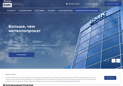 Снимок главной страницы bmk39.ru