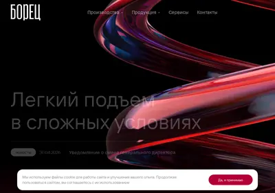 Снимок главной страницы borets.ru