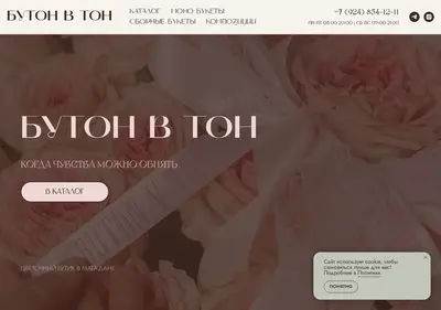 Снимок главной страницы buton-v-ton.ru