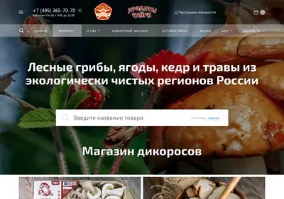 Снимок главной страницы aromaty-taygi.ru