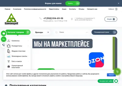 Снимок главной страницы camenchik74.ru